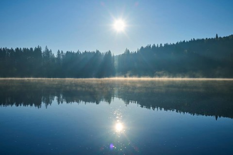 The sun is high above a quiet lake, surrounded by a forest that is reflected in the water,