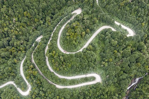 Aerial view of a winding road (Carretera Austral) through dense forest, south of Puyuhuapi, Aysén