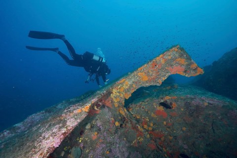 A diver examines an old shipwreck covered with sea sponges, dive site Wreck Michel C, Hyères, Giens