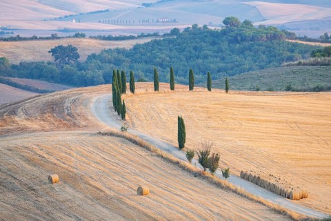 Typical Tuscan landscape in Val d'Orcia with hills, trees, fields, cypresses and farm road in