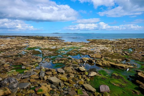 Rocky coastal area overlooking the sea under a cloudy sky, Seahouses, Northumberland, England,