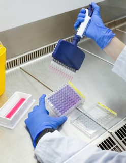 Bonn, North Rhine-Westphalia, Germany - Research in the field of immunology and infectology at the