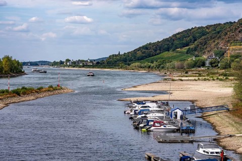 Low water in the Rhine, pleasure boat harbor, on the island of Grafenwerth, on a dead branch of the