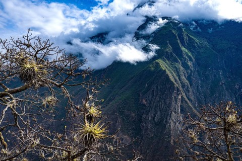 Mountain landscape with clouds, cloud forest near the Inca city of Choquequirao, also Choquequirau