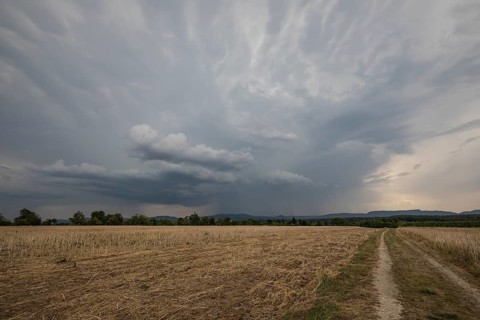 Dramatic dark storm clouds gather over a harvested stubble field with a dirt path leading toward