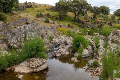 Countries, Dehesa, Extremadura, cultural landscape, landscape, countries, travel, Spain, travels