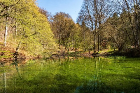 Apenteichquelle an den Apenteichen, Winzenburg, Germany