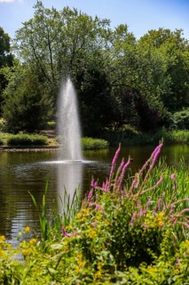Essen, North Rhine-Westphalia, Germany - City garden with lake and fountain. Stadtgarten Essen is