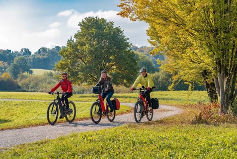 Three happy senior adults, riding their mountain bikes in the autumnal atmosphere of the fall