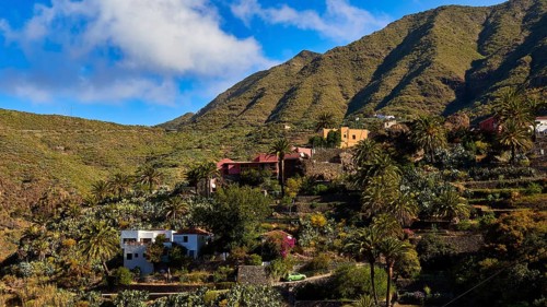 Idyllic village nestled in green hills with palm trees and blue sky, Masca, Barranco de Masca,