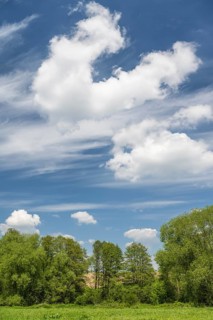 Cloudy sky over row of trees, Tharandt, Saxony, Germany, May 2024