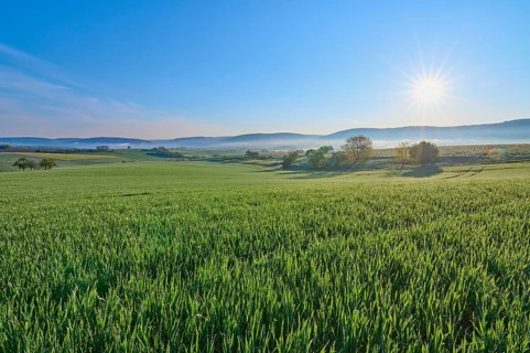 A picturesque sunrise over a wide green field and a gentle hilly landscape, Mönchberg, Mltenberg,