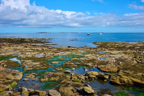 Rocks and sea with boats and sweeping sky, Seahouses, Northumberland, England, Great Britain
