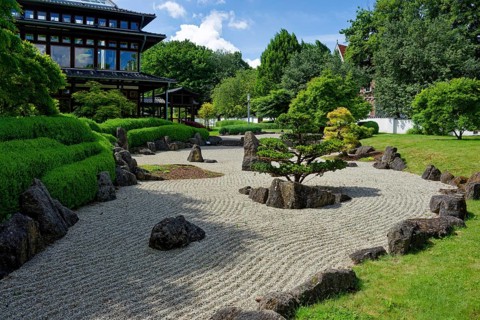 Japanese garden, botany, plants, garden of bliss, spa town, Bad Langensalza, Thuringia, Germany
