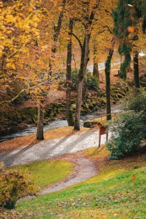 River course in the spa gardens during autumn, Bad Wildbad, Black Forest, Germany