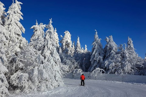 Winter landscape and cross-country ski trail in the Fichtelgebirge, Bayreuth district, Upper