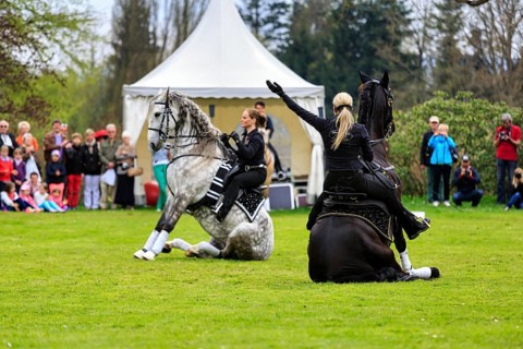 Two riders, Friesian horse, dressage demonstration, audience, garden festival Landpartie 2013 in
