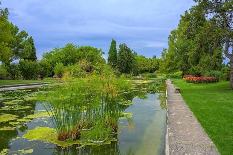 Water garden in the Parco Giardino Sigurtà, Valeggio sul Mincio, Province of Verona, Italy