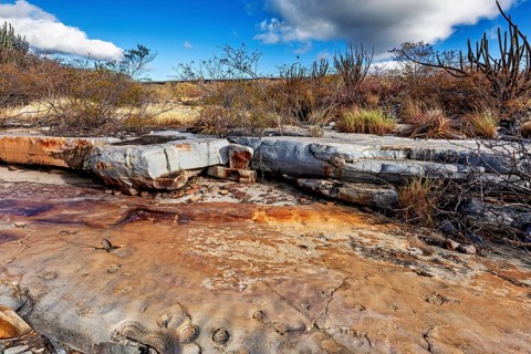 Flat rock slabs with cacti and shrubs under a cloudy sky, the thornshrub savanna in the Caatinga