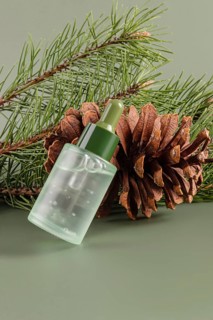 Close-up view of a transparent bottle of coniferous essential oil, paired with a pine cone and pine