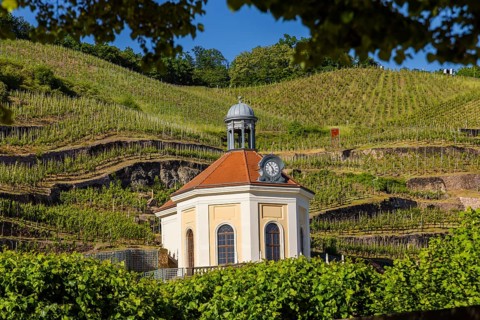 Staatsweingut Schloss Wackerbarth, Radebeul, Saxony, Germany