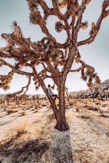 Woman at sunset in Joshua Tree National Park