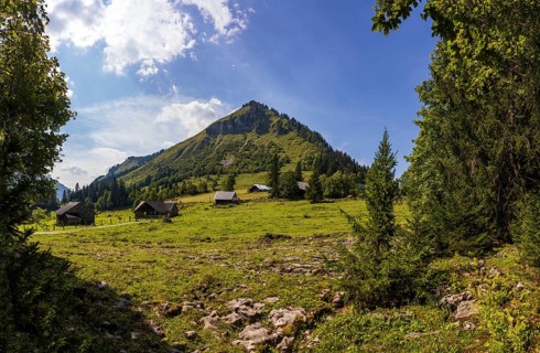 Königsbergalm with view of the Königsberger Horn, Osterhorn group, Salzkammergut, Salzburg