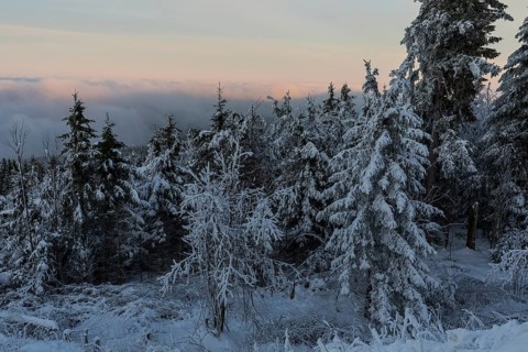 View of the sea of fog over the Ore Mountains in the evening light, snow-covered winter forest on