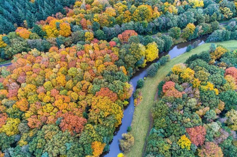 Hunte in autumn Barneführer wood, forest, autumn colors, Westerburg, Wardenburg, Lower Saxony,