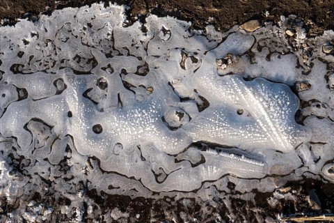 Frozen puddles