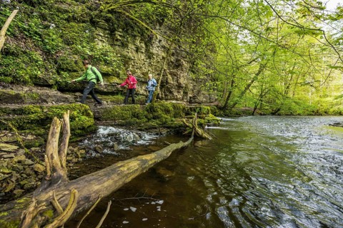 Hiking trail by the river, Wutach Gorge, Bonndorf, Baden-Württemberg, Black Forest, Germany