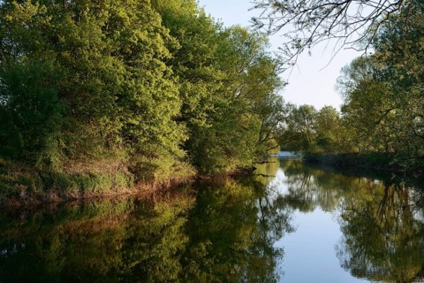 The river Lippe with deciduous trees in spring, North Rhine-Westphalia, Germany