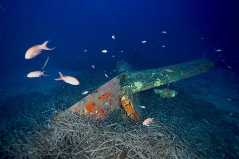 A rusted aeroplane wreck underwater with fish, the Mediterranean anthias (Anthias anthias), and