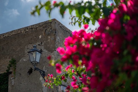 Bougainvillea (Bougainvillea sp.), old house with a street lamp, Malfa, Salina, Aeolian or Lipari