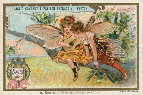 Picture series Children's Natural History, children in costumes of crickets, picture of love,