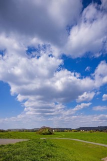 Dresden Gohlis Elbauen with dikes and Elbe cycle path, Dresden, Saxony, Germany