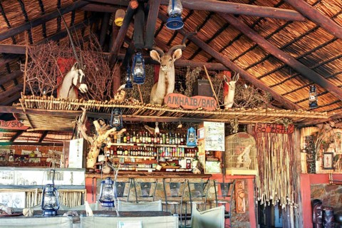 Rustic bar with wooden decor, animal skulls and a cozy atmosphere, the bar of a small lodge in