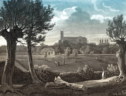 View of Westminster from Millbank, London, England, 1807