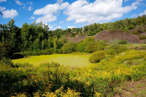 Germany, Hesse, Messel, Messel Pit, lake in the pit, publication authorised by Philipe Havlik,