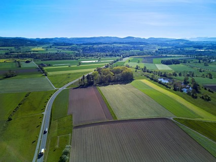 Meadows and fields, Merenschwand, Reusstal, Freiamt, Canton of Aargau, Switzerland