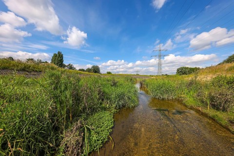 Bottrop, North Rhine-Westphalia, Germany - Renaturalised Boye, the tributary of the Emscher, was