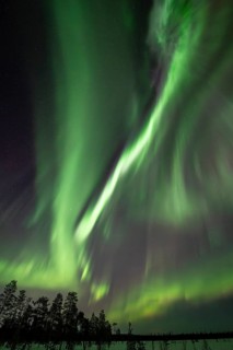 Northern Lights (Aurora borealis), Muddus National Park, Laponia World Heritage Site, Norrbotten,