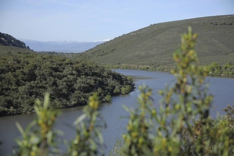 Rio Tietar river with view of Sierra de Gredos, landscape, nature photography, Monfragüe,