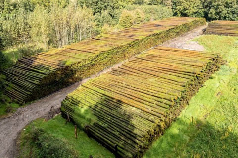 Aerial view of a timber yard, tree trunks get conservated by sprinkling water on the wood, Germany