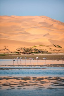Sand dunes and lagoon with pink flamingos (Phoenicopterus roseus), Sandwich Harbour, Impressive