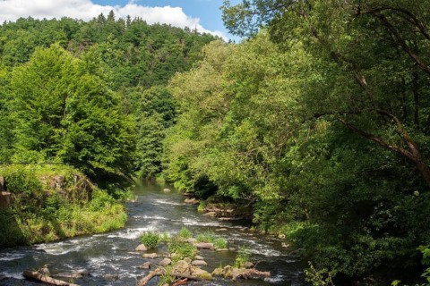 Germany, White Elster, Elstertal, Landscape, Nature Reserve, Nature Reserve, Steinicht, Vogtland