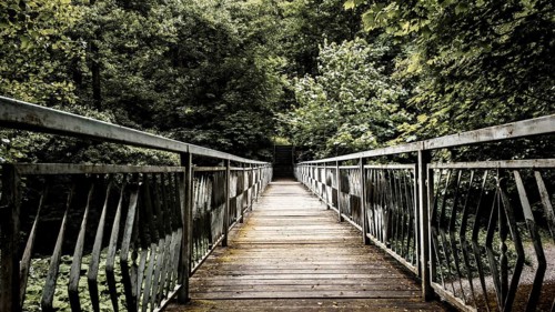A long wooden bridge over the Schwarza with metal railings leads into a green forest, atmospheric,