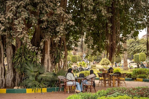 Cafe at Al Horreya Garden Park in Cairo, Egypt