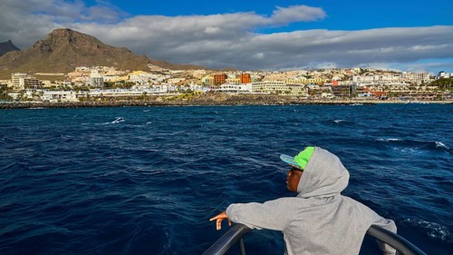 Los Christianos, boy looking from a boat at a coastal town with mountains in the background, whale