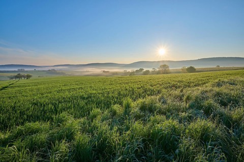 The sunrise illuminates vast fields with rolling hills and a blue sky in the background, Mönchberg,